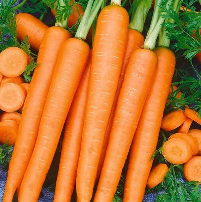 Tendersweet Carrot Seeds