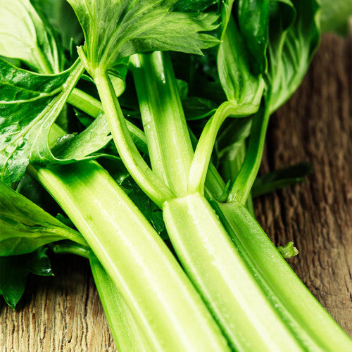 Utah Celery Seeds