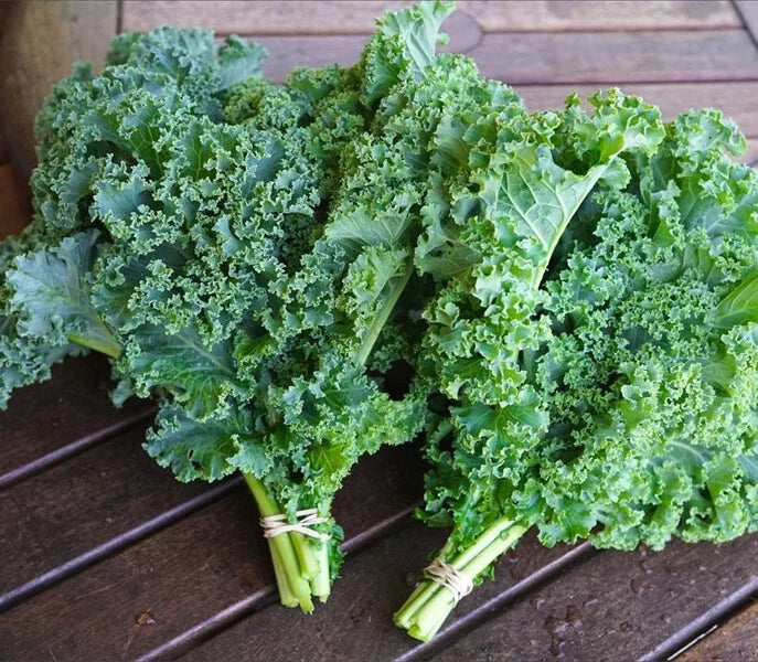 Vates Curled Kale Seeds