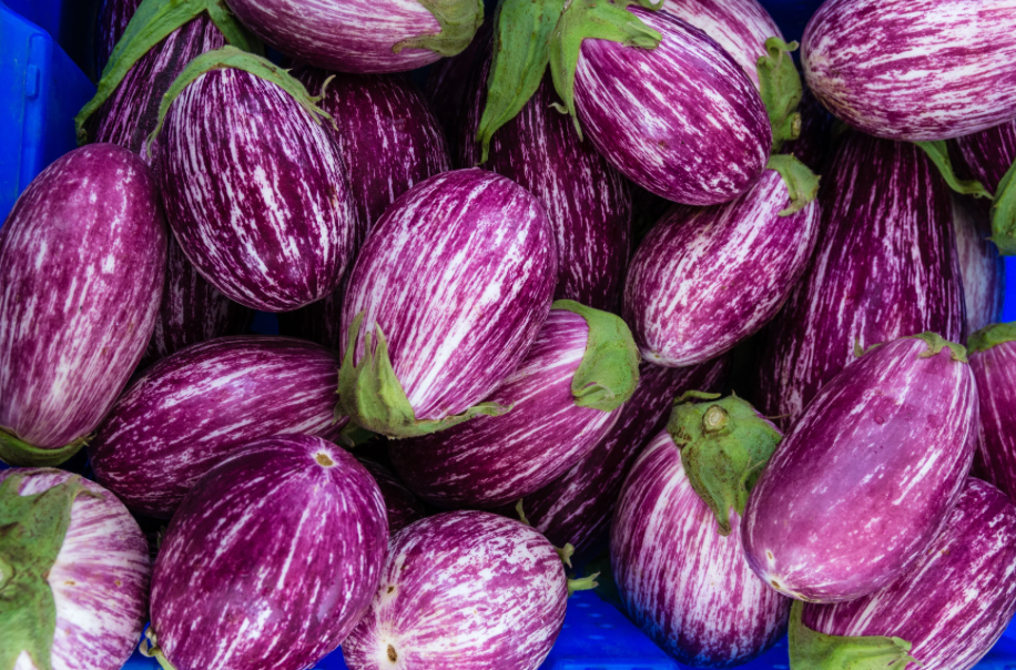 Fairy Tale Eggplant Seeds