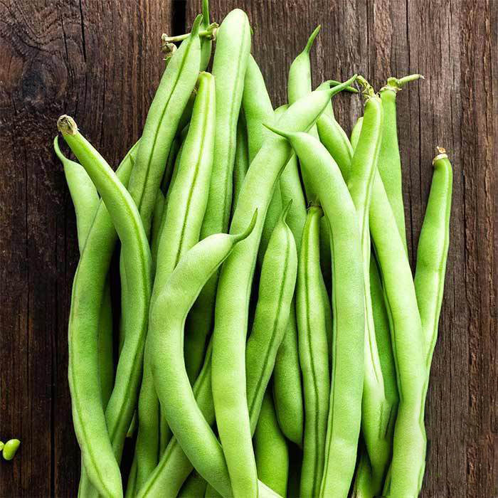 Contender Beans Seeds